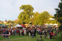 Zdjęcie 48 z 48 - Strona 3 z 3 